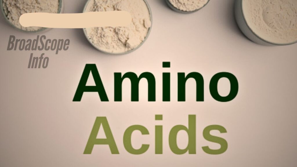 Doctorhub360.com Amino Acids: Essential and Beneficial Facts You Need to Know