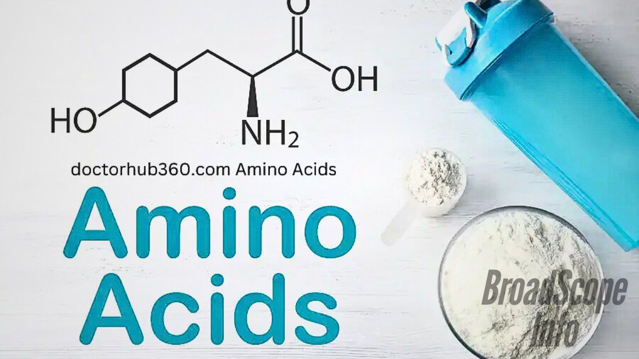 Doctorhub360.com Amino Acids